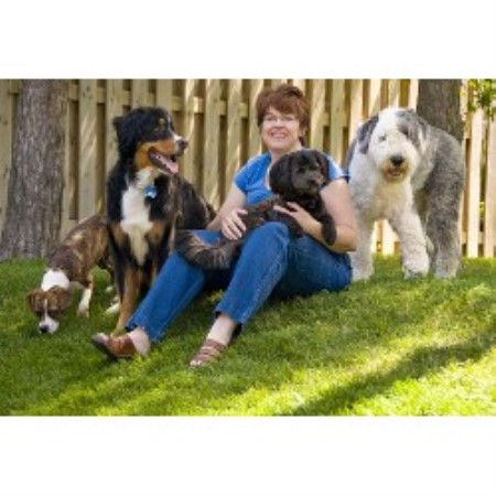 Boarding Kennels ,Dog Training in Ontario