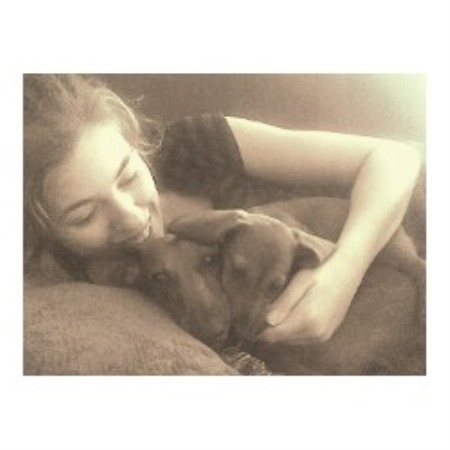 Pet Sitting ,Pet SittingDog WalkingFlorida
