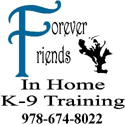 Dog Training in Massachusetts