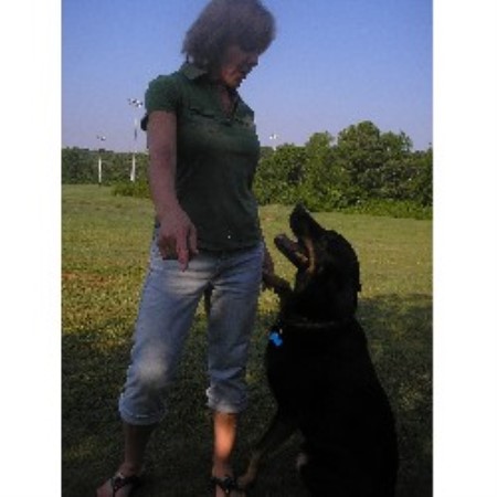 Dog Training in Georgia