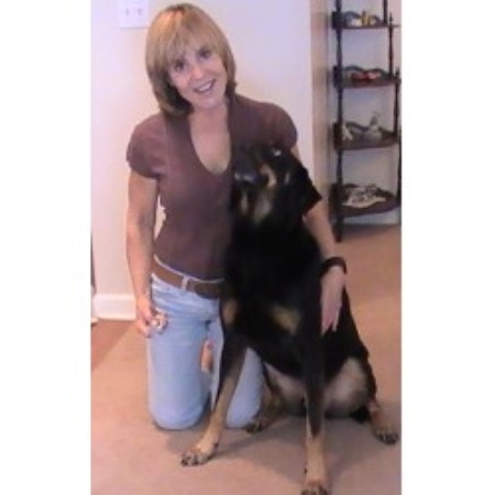 Dog Training in Georgia