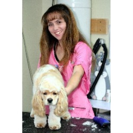 Dog Groomer in Virginia