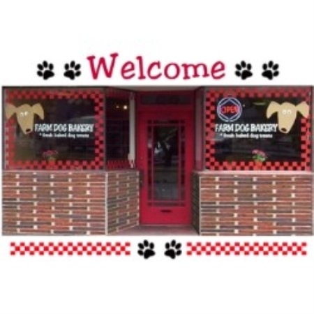 Dog Boutique in Longview WA