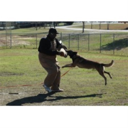 Boarding Kennels ,Boarding KennelsGeorgia
