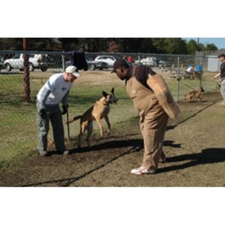 Boarding Kennels ,Dog Training in Georgia