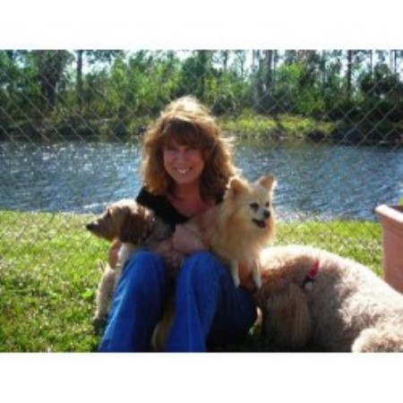 Boarding Kennels ,Pet Sitting ,Dog Walking in Florida