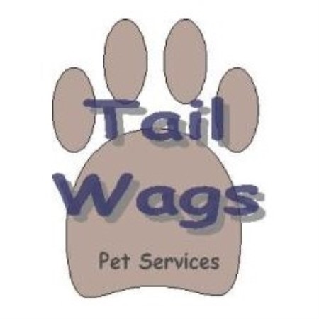 Dog walker in Barrie, Ontario