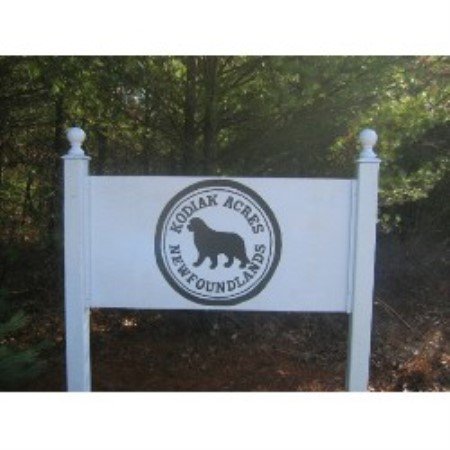 Kodiak Acres