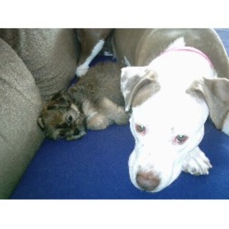 Gracie and Chloe