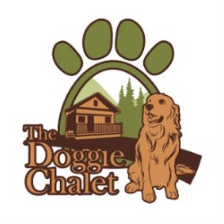 Experienced pet sitter and dog walker in Belleville, New Jersey