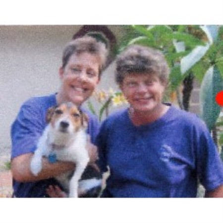 Small and friendly dog walking service in Naples, Florida