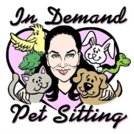 Canine Agility trainer in Columbus, Ohio