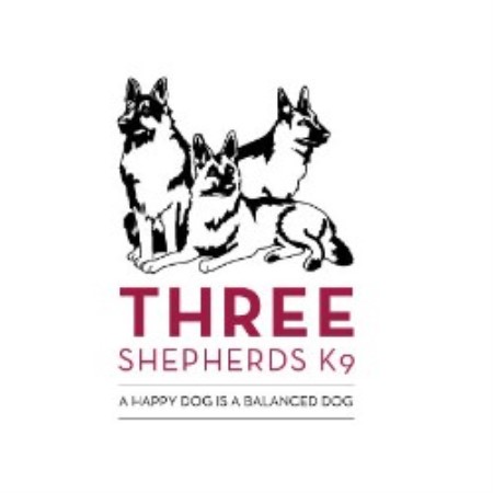 Best Dog Groomer In West Chester Pa Best Dog Groomer In West Chester Pa
