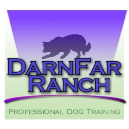 Clicker Training in Brownstown, Illinois