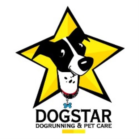 Dog Boarding Facilities n Mount Pleasant, South Carolina