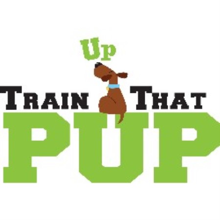 Positive training and pet care services in Billerica, Massachusetts