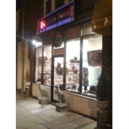 Dog Store in Elizabeth, NJ