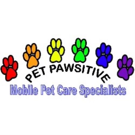 House sitting and walking for puppies and dogs in Madoc, Ontario