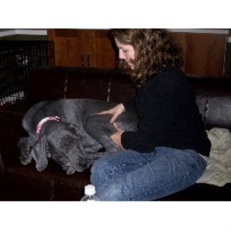House sitting and walking for puppies and dogs in Wixom, Michigan