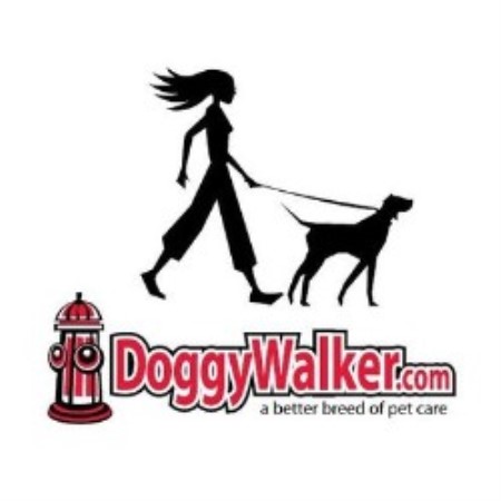 House sitting and walking for puppies and dogs in Arlington, Virginia