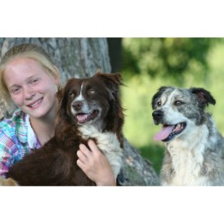 Dog barking behavior expert in Chetek, Wisconsin