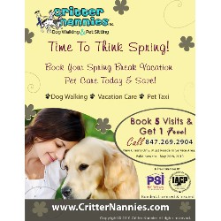 Doggy weekend getaway care in Rolling Meadows, Illinois
