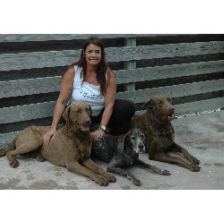 Dog Trainer in Venice, Florida