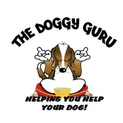 Dog Trainer in Kissimmee, Florida
