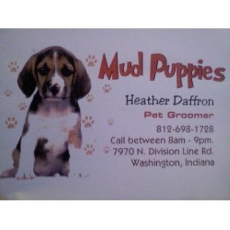 mud puppies grooming grooming services and groomers in lafayette indiana freedoglistings mud puppies grooming grooming services and groomers in lafayette indiana freedoglistings