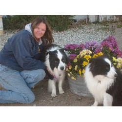 House training a puppy in Tehachapi, California