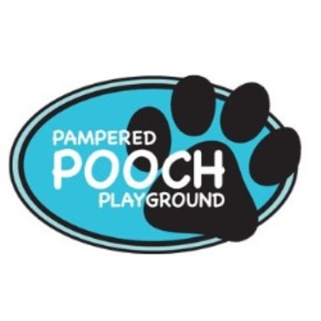 Obedience Dog Trainer in St. Louis Park, Minnesota