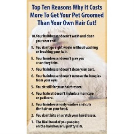 Dog Grooming Salon in Parsippany, New Jersey