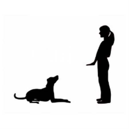 Dog Trainer in Port Hueneme, California