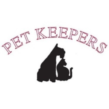 Dog Boarding Services in Mount Pleasant, South Carolina