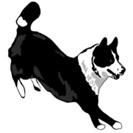 Dog Kennels in Florence, Montana