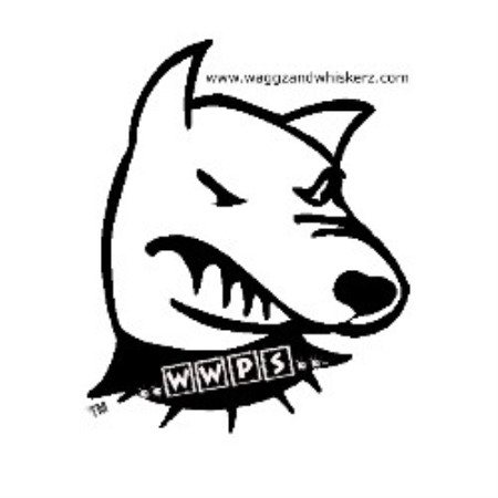 Dog walker in Thornhill, Ontario