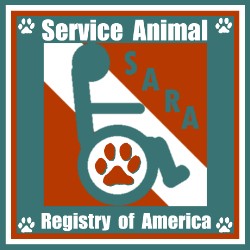 Obedient Dog Training in Denver, Colorado
