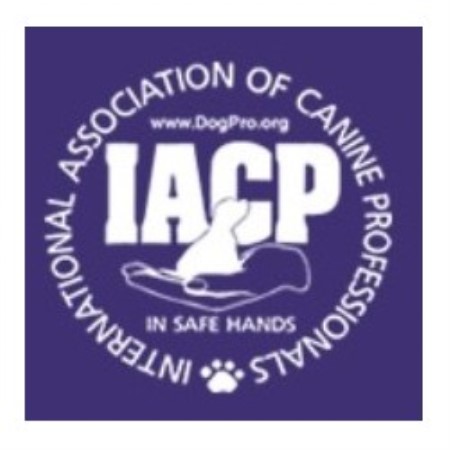 Puppy/Dog obedience training in Milford, Connecticut