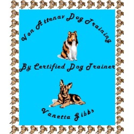 Obedient Dog Training in Tucson, Arizona