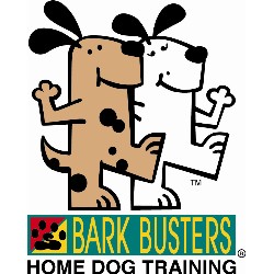 Clicker Training in Hudson, Massachusetts