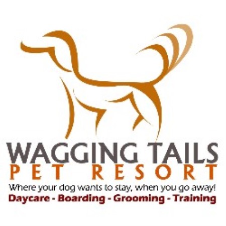 Dog Wagging Tail Wagging tails pet resort