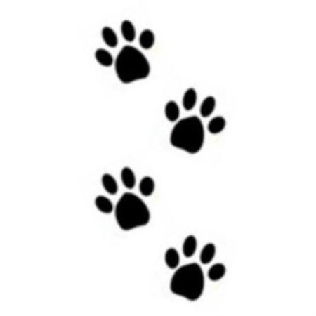 Clicker Training in Seymour, Connecticut