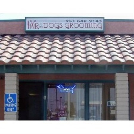 Dog Groomer - Perris, California