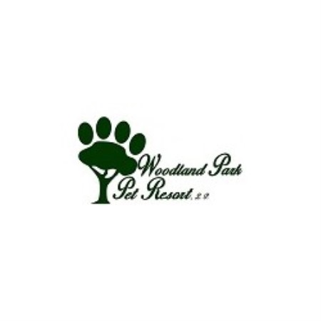 Dog Trainers | Canine Obedience | House Breaking Puppies in Frisco ...