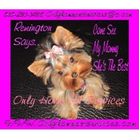 Grooming Salon for dogs in Ames, Iowa