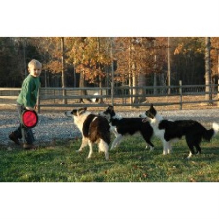 Grooming Parlor for pets in Charles City, Virginia