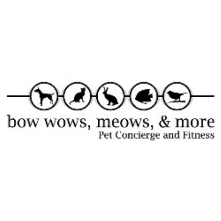 Experienced pet sitter and dog walker in Miami Beach, Florida