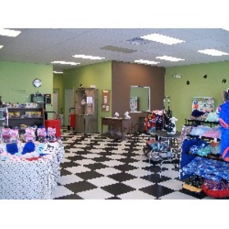 Positive training and pet care services in Winter Haven, Florida