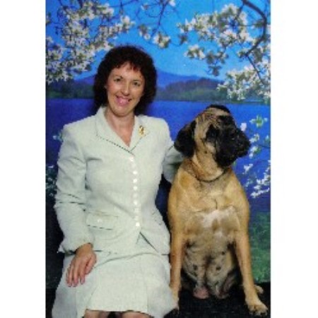 Obedience Dog Trainer in Upstate Sc, South Carolina