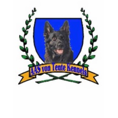 Pet stylist - Fort Myers, Florida